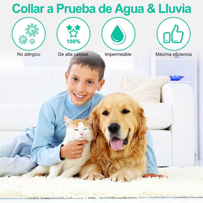 Lleva 1 de Regalo - COLLAR ANTIPULGAS PARA MASCOTAS