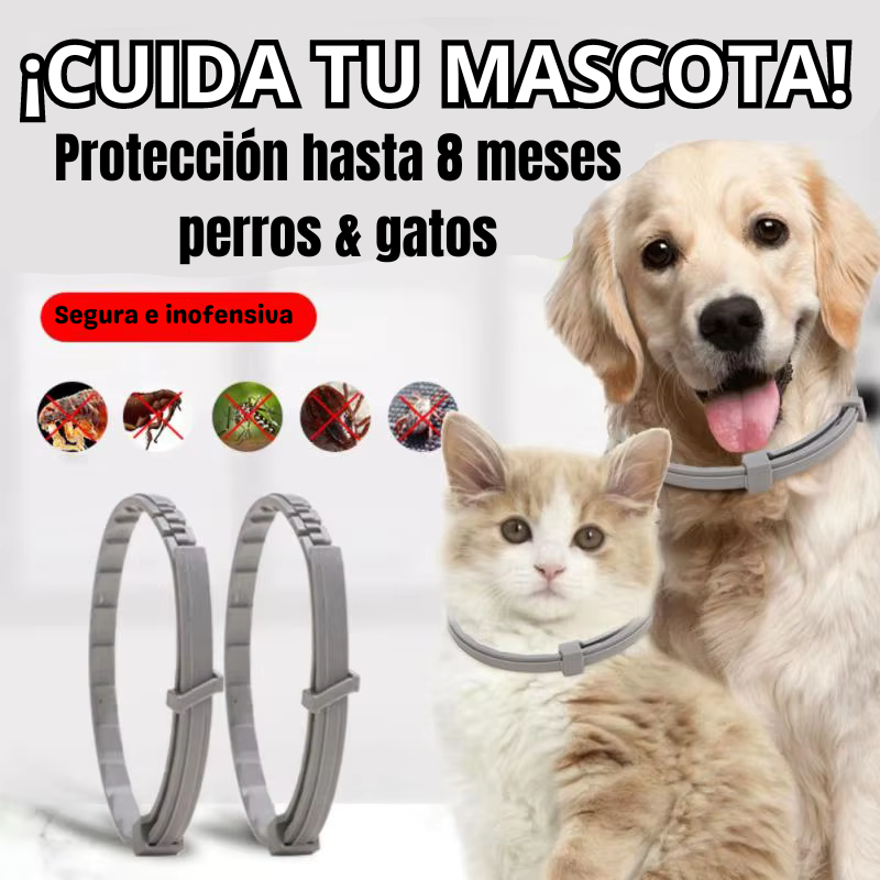 Lleva 1 de Regalo - COLLAR ANTIPULGAS PARA MASCOTAS