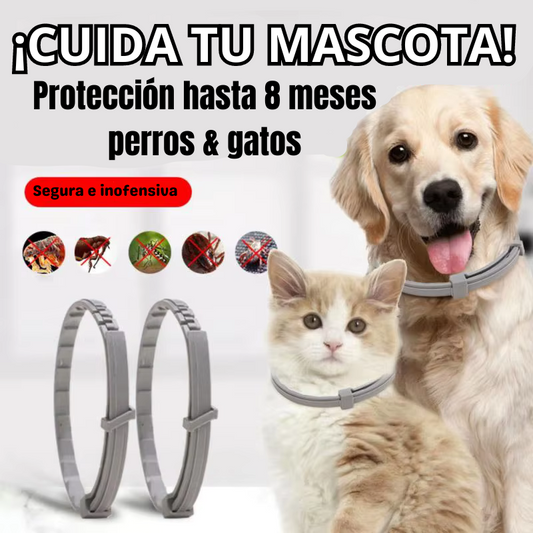 COLLAR ANTIPULGAS PARA MASCOTAS